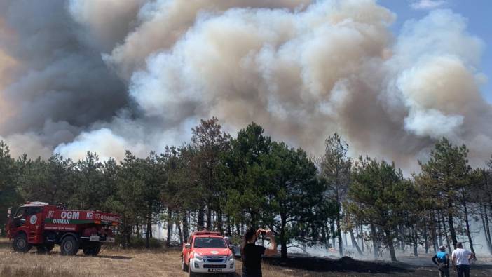 Çerkezköy'de orman yangını