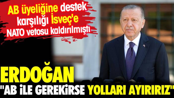 Erdoğan: AB ile gerekirse yolları ayırırız