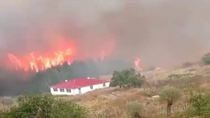 Yine ciğerlerimiz yanıyor. İzmir, Bolu ve Ankara’da orman yangınları devam ediyor