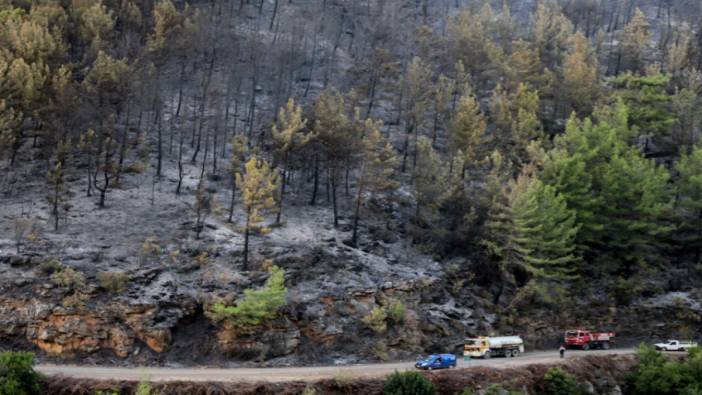 Alanya'daki orman yangını kontrol atına alındı
