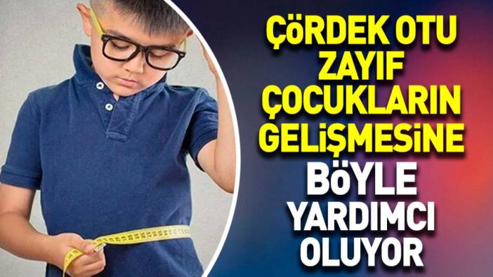 Zayıf çocukların gelişmesine yarımcı olan bitki