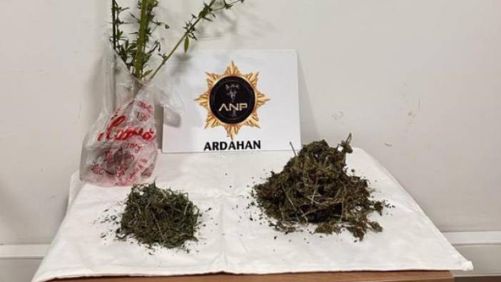 Ardahan'da uyuşturucu operasyonu: 2 gözaltı