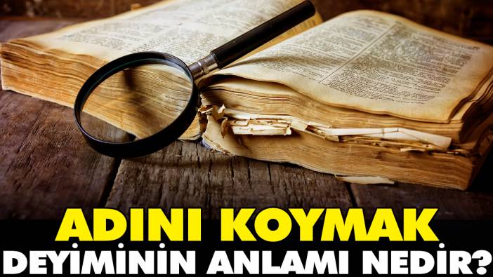 Adını koymak deyiminin anlamı nedir?