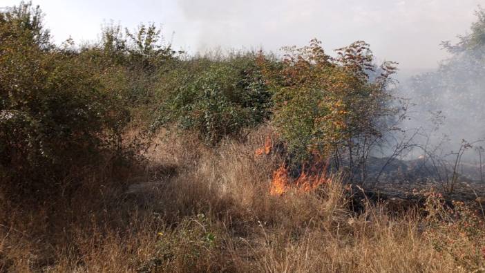 Edirne'de makilik alanda çıkan yangın söndürüldü
