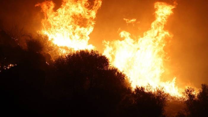 İtalya’da orman yangını: 2 ölü