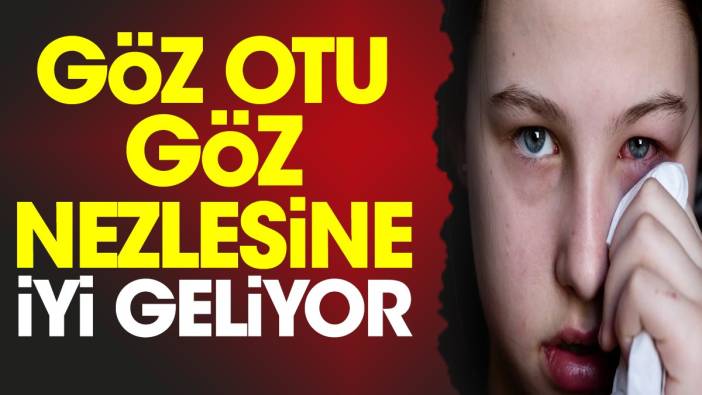 Göz nezlesine iyi geliyor