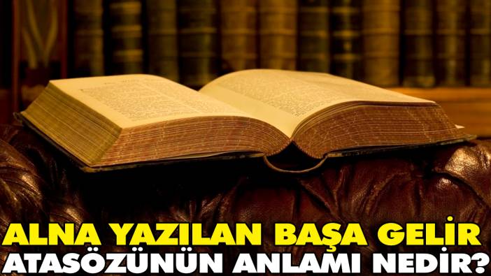 Alna yazılan başa gelir atasözünün anlamı nedir?