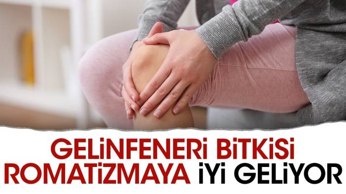 Romatizmaya iyi gelen faydaları saymakla bitmeyen mucize ot ortaya çıktı