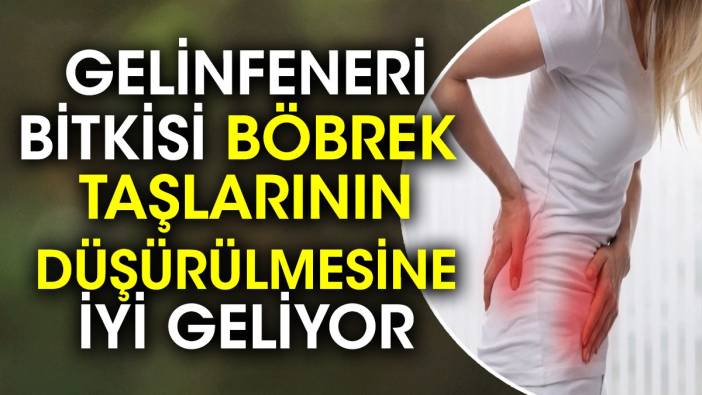 Böbrek taşlarının düşürülmesine çare mucize ot