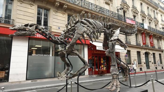 150 milyon yıllık dinozor iskeleti açık artırmada. Fiyatı 1,2 milyon Euro’ya çıkabilir