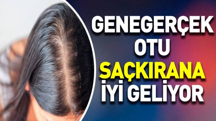 Saçkırana iyi gelen mucize otun faydaları saymakla bitmiyor