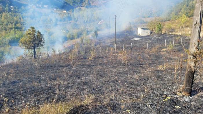 Jandarmanın dikkati orman yangınını önledi