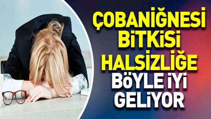 Mucize otun yaraları dikkat çekti. Halsizliğe iyi geliyor