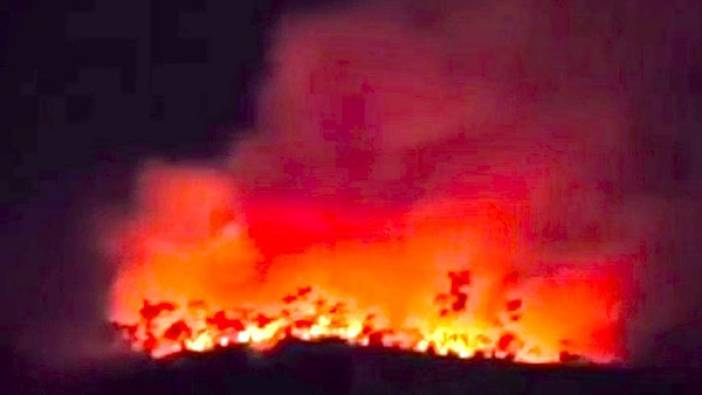 Çankırı’da orman yangını 2 gün sürmüştü: Söndürüldü