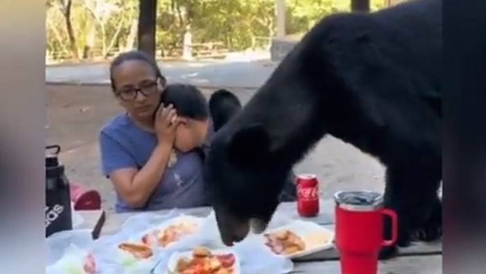 Piknik alanına inen ayı piknik yapan ailenin yemeklerini yedi