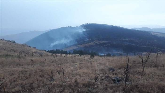 Çankırı'daki yangında 50 dönüm kızılçam ormanı zarar gördü