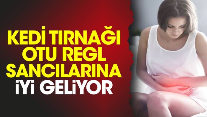 Regl sancılarına iyi gelen mucize otun faydaları dikkat çekti