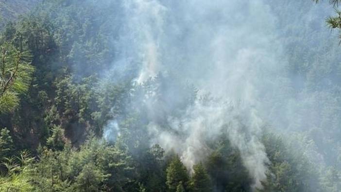 Adana Kozan'da çıkan orman yangınları kontrol altına alındı