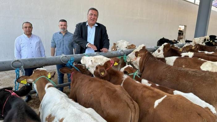 Türkiye’de hayvancılık risk altında: Raftaki fiyatlar üreticiye yansımıyor
