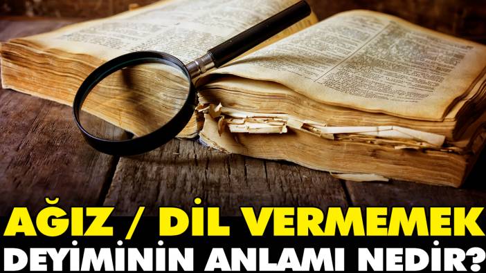 Ağız / Dil vermemek deyiminin anlamı nedir?