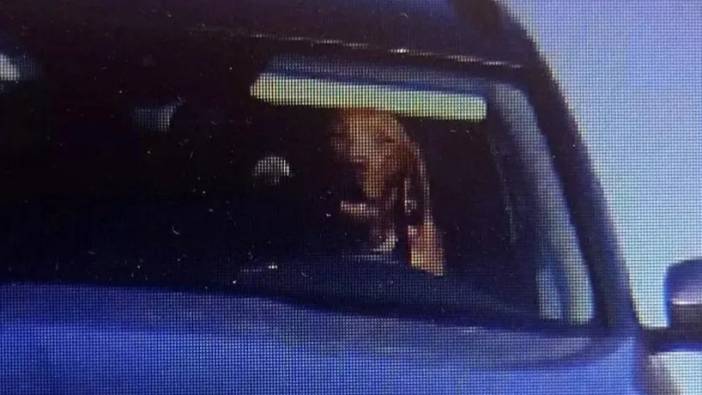 Araç koltuğunda köpek gören polis ekipleri şoke oldu. Araç sahibinin savunması işe yaramadı