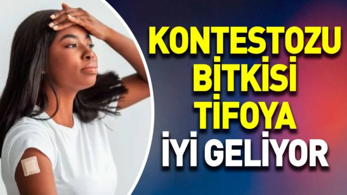 Tifoya iyi gelen mucize otun faydaları saymakla bitmiyor