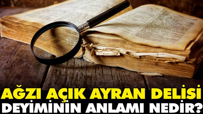 Ağzı açık ayran delisi deyiminin anlamı nedir?