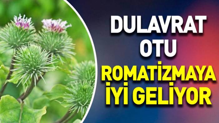 Romatizmaya iyi gelen ot