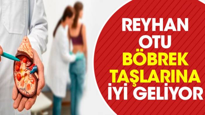 Böbrek taşlarına iyi gelen ot