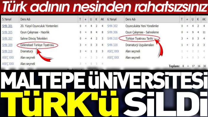 Maltepe Üniversitesi Türk'ü sildi. Türk adının nesinden rahatsızsınız