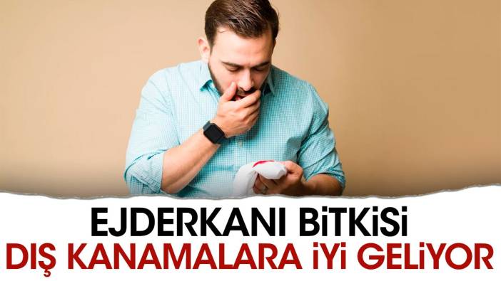 Dış kanamalara iyi gelen mucize bitki