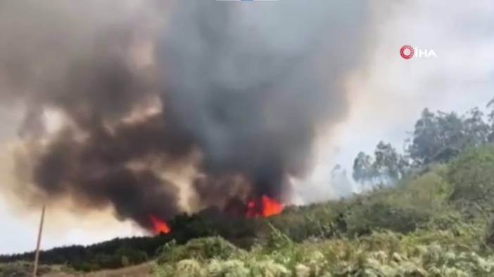 İspanya’da orman yangını: 3 bin kişi tahliye edildi