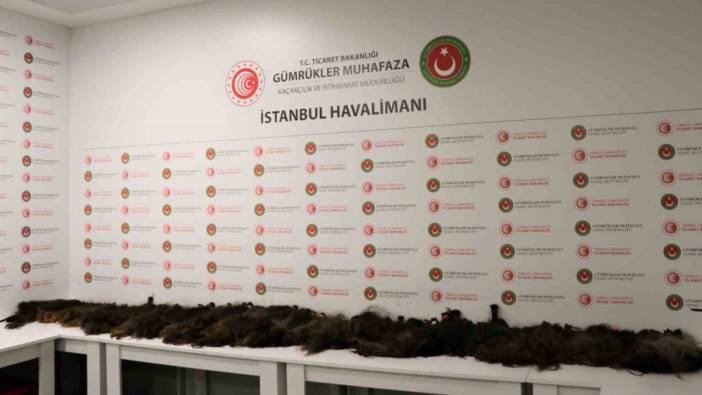 İstanbul’da İnsan saçı kaçakçılarına gümrük muhafaza engeli