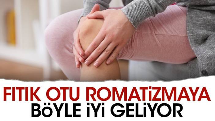 Romatizmaya iyi gelen mucize ot