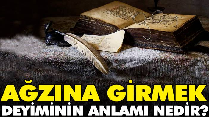 Ağzına girmek deyiminin anlamı nedir?