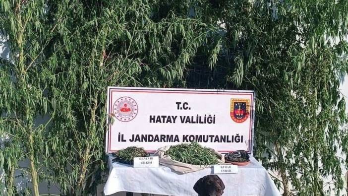 Hatay’da zehir tacirlerine operasyon