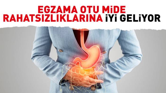 Mide rahatsızlıklarına iyi gelen ot