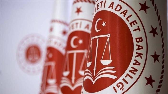 Bu yıl Türkçe dışındaki 40 dilde 519 bin adli sicil belgesi verildi
