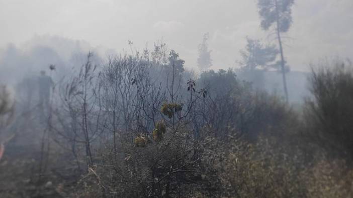 Hatay'daki orman yangını söndürüldü