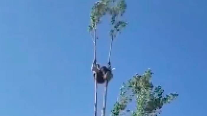 80 yaşında kavak ağacının tepesine çıkıp ters takla atmaya çalıştı