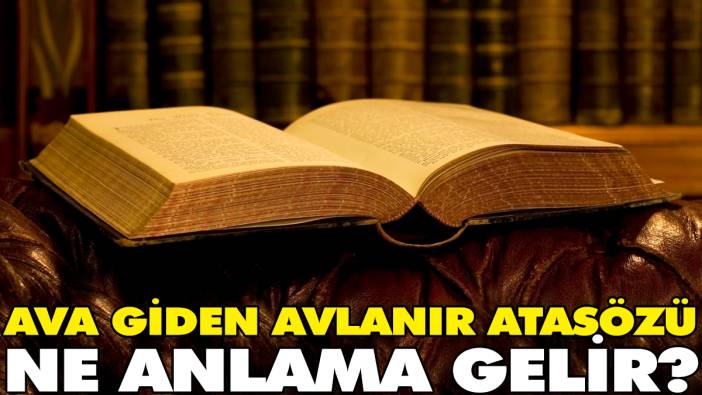 Ava giden avlanır atasözü ne anlama gelir?