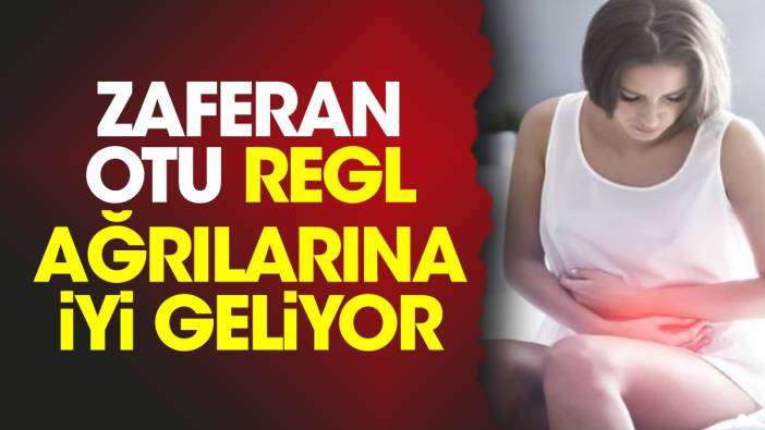 Regl ağrılarına iyi gelen mucize ot