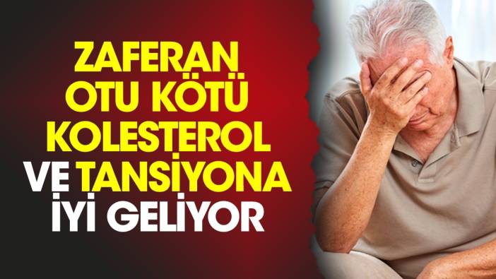 Kötü kolesterol ve tansiyona iyi gelen mucize bitki ortaya çıktı