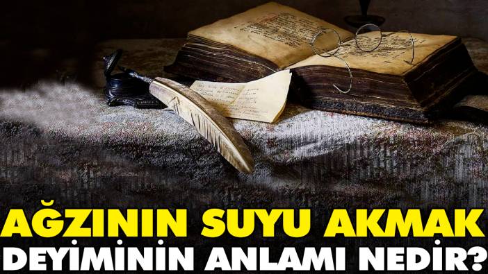 Ağzının suyu akmak deyiminin anlamı nedir?