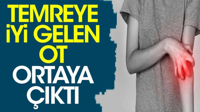 Temreye iyi gelen ot ortaya çıktı