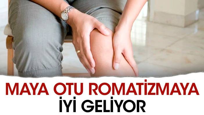 Romatizmaya iyi gelen mucize ot