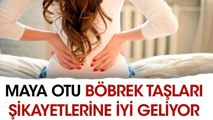 Böbrek taşları şikayetlerine iyi gelen ot