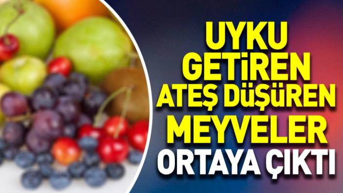 Uyku getiren ateş düşüren meyveler ortaya çıktı