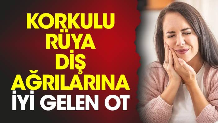 Korkulu rüya diş ağrılarına iyi gelen ot