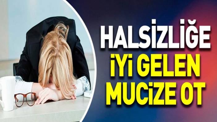 Halsizliğe iyi gelen mucize ot